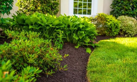 Spring and Fall Cleanups