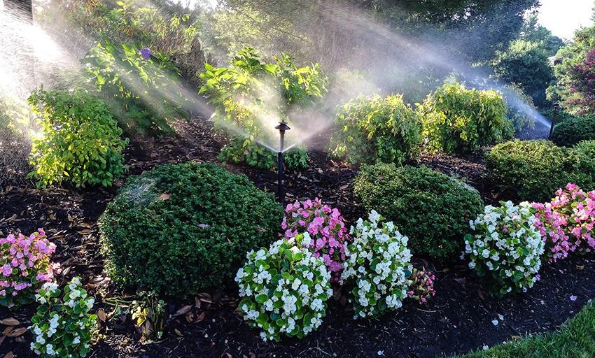 Irrigation and Sprinklers