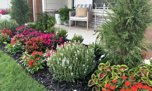 Plantings & Enhancements