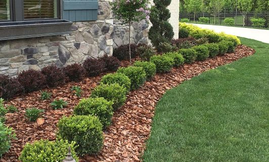 Shrub Pruning