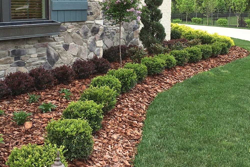 A run of boxwood pruned to even spheres along a mulched bed against a stone facade.