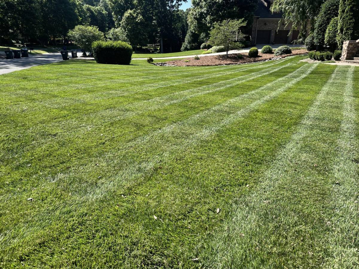 A large front lawn cut in clean alternating stripes, with mulched beds and a crisp cut edge along the driveway.